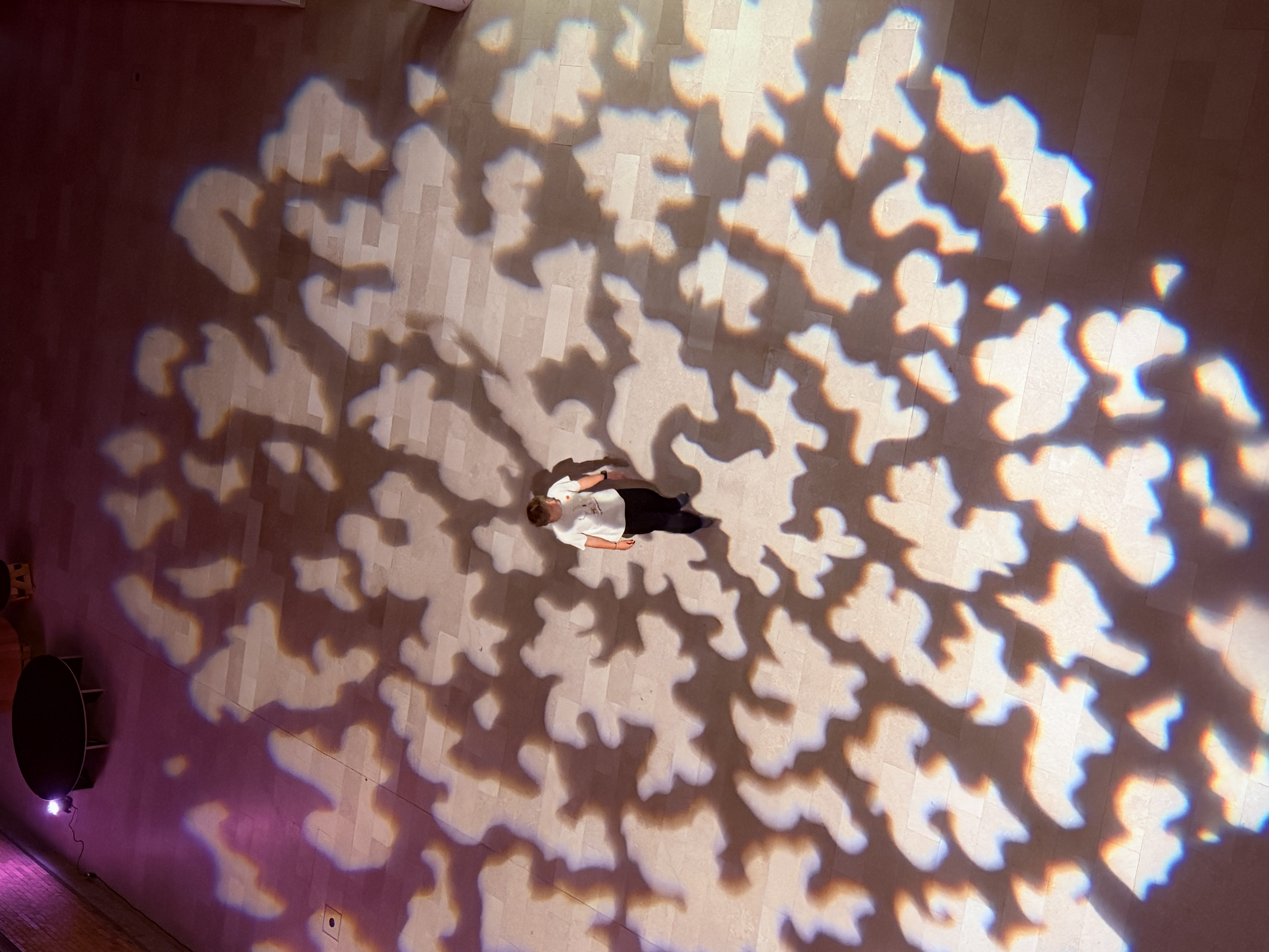 Parpification's avatar